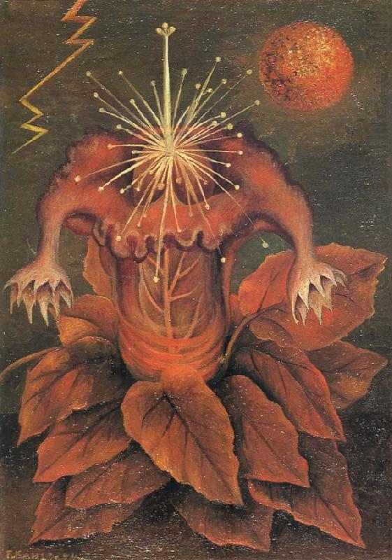 Flower of Life, Frida Kahlo